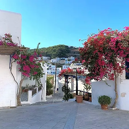 Luxury Naxos Superior Quadruple Center Modern *